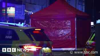 Pedestrian who died after being hit by car is named