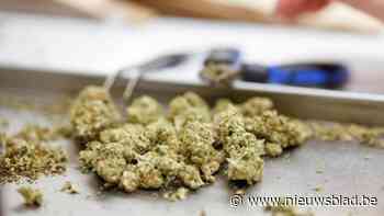 Sterke cannabisgeur leidt politie naar drugsdealer: 26-jarige man krijgt 15 maanden cel