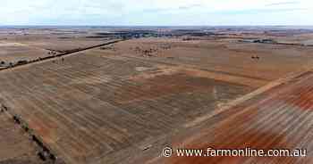 Cropping land up for grabs as blocks at Patho and Birchip listed for sale