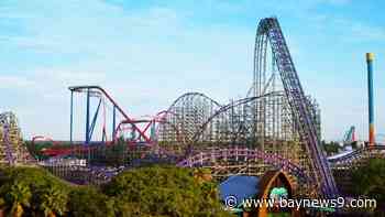 Busch Gardens Tampa Bay announces spring deal on tickets, Fun Cards and annual passes