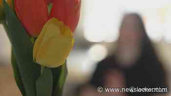 Mira's familie loopt gevaar in Syri&euml;: 'Alawieten worden gemarteld, verkracht, doodgeschoten'