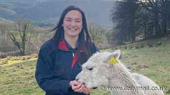 Silly billies? Think again! Goats are smarter than sheep and alpacas, scientists say