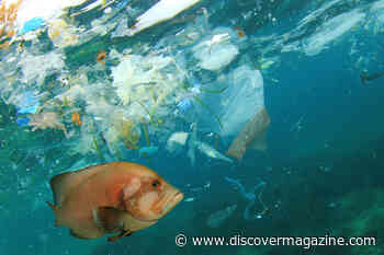 Microplastics Are in Our Air — Turns Out, It Isn’t All the Ocean’s Fault