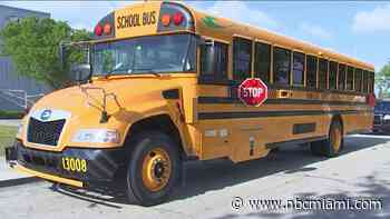 School bus cameras: Some citations stopped in Miami-Dade. What you need to know