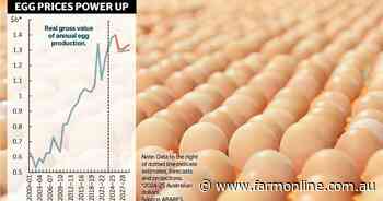 Bird flu cost and shortages linger but egg farms break output value records