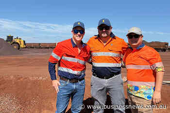 Rail deal lifts Goldfields iron ore exports