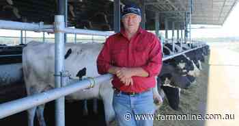 Farm accident sees a return to genetics passion for Wagga dairy farmer