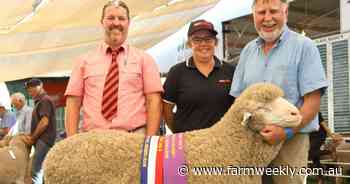 Eastville Park sire takes Poll Merino honours in the show ring at Wagin