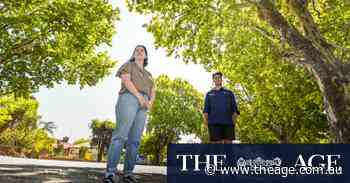 ‘Greeted by concrete’: Town fights for trees as rail project steamrolls historic avenue