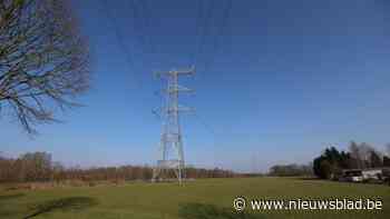 “Essentiële” upgrade voor Noord-Limburgs elektriciteitsnetwerk: dit verandert er