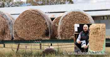 Kiwi farmer launches digestible bale net, but experts say there could be a catch