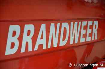 Brandweer redt gans met gebroken vleugel