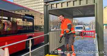 Cost of Plymouth's new shipping container bus stops slammed as an 'utter shambles'