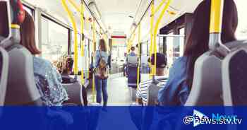 Violent young adults should be stripped of bus passes ? MP