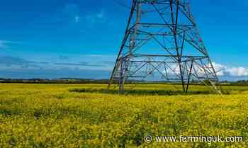 Government proposes £250-a-year for rural residents near pylons