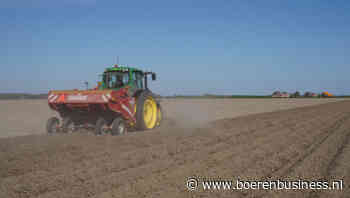 Groei aardappelareaal is dit seizoen onwenselijk