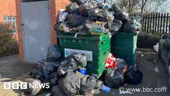 'The rubbish is alive' - rats feast as Birmingham bin workers strike