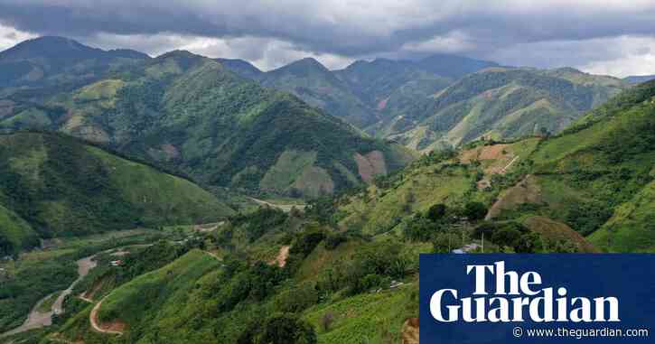 Colombia urges UN to remove coca leaf from harmful substances list