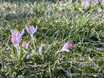 Morning Notes for March 11, 2025