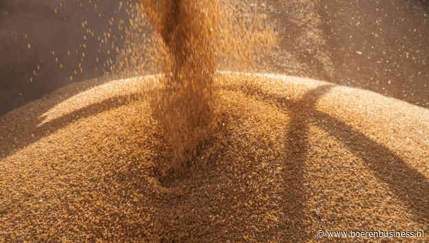 Gaat Wasde inzicht geven in Trumps handelspolitiek?