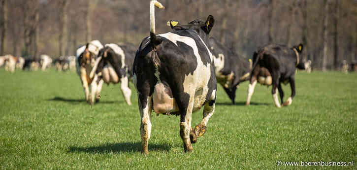 Weidepremie op de schop: 'Tijd voor staffelsysteem'