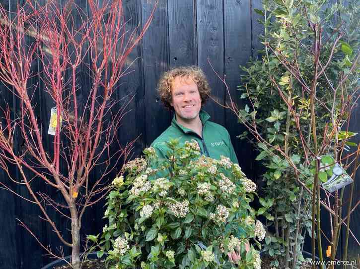 Elke plant zijn eigen video bij tuinplantenwinkel Yarinde