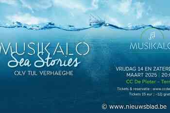 Harmonie Musikalo duikt de diepte in met Sea Stories
