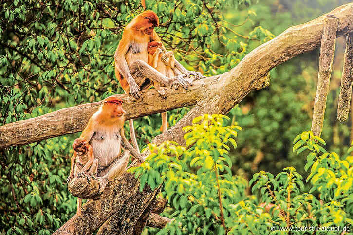 Malaysia: „Fernab vom Massentourismus“