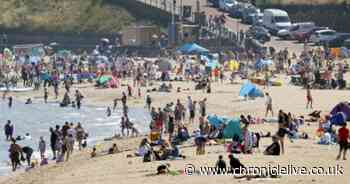 The top beach 20 minutes from Newcastle that's 'better than Bondi' when the sun shines