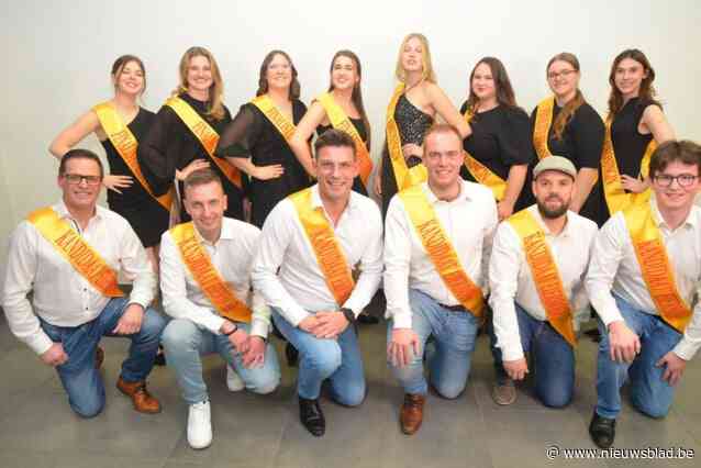 Kritiek op forse subsidieverhoging voor ‘de grote drie’: “Slag in het gezicht van alle andere verenigingen”