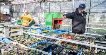 Niemand kent deze plek, maar na een inbraak is er opeens landelijke aandacht: ‘Ze voelen dat ze gesteund worden’