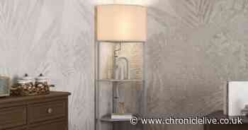 Space-saving corner shelf unit that doubles up as a floor lamp gives off a 'cosy light'