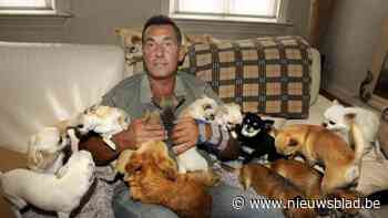 Ex-dierenarts krijgt in beroep opschorting van straf na chihuahua-hetze in Zandhoven