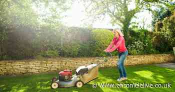 Four must-know gardening hacks to banish moss and weeds for good this spring