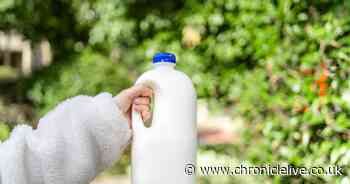 Why gardeners are being urged to pour off milk on their soil this spring
