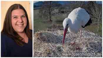 Der Storch ist gelandet: Cindy Kock aus Kolbermoor kann ihr tierisches Glück kaum fassen