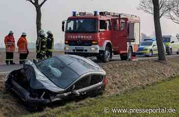 POL-HI: Baumunfall fordert zwei Verletzte