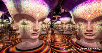 Meow Wolf to Open New York Edition of Its Immersive Art Program