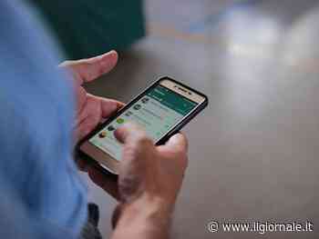 WhatsApp, addio a "sta scrivendo": ecco tutte le nuove funzioni