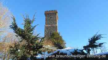 Aussichtsturm im Harz in Gefahr: Schließt er bald für immer?