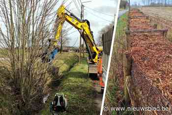 Twee vliegen in een klap: deze gemeente heeft slimme oplossing voor al het gesnoeide hout
