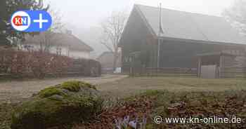 Nach Sachsenwald-Skandal: Forstgutsbezirk im Segeberger Forst soll aufgelöst werden