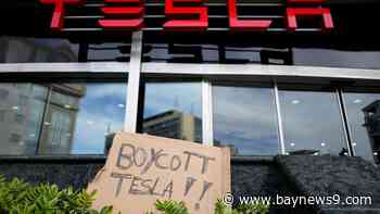 Trump says he'll buy a Tesla to show support for Musk as his company faces sagging sales