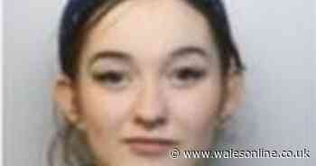 Appeal launched to find three missing teenagers who may be in Wales