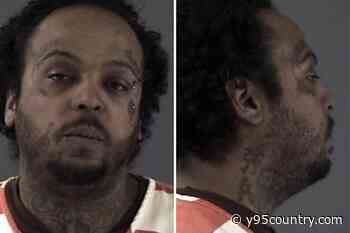 Domestic Violence Call Leads to Animal Cruelty Arrest in Cheyenne