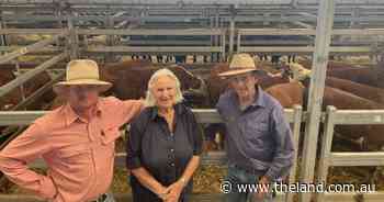 Heavy steers in demand as limited supply plays on finished cattle market