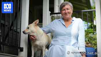 The governments slamming insurers while raking in billions on premiums