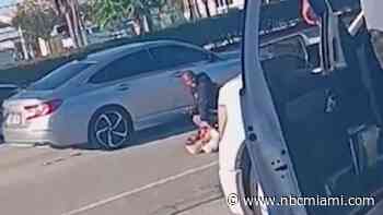 Video shows chase, struggle after man stabbed alleged thief in Pembroke Pines