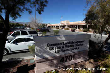 New head of Southern Nevada’s BLM takes Trump buyout after less than 2 months on job