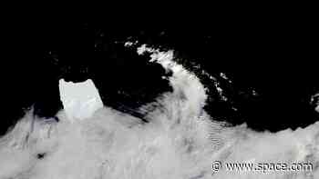 World's largest iceberg runs aground in South Atlantic after 1,200-mile journey (satellite photos)